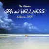 Spa Music Masters - Spa and Wellness Collection 2009